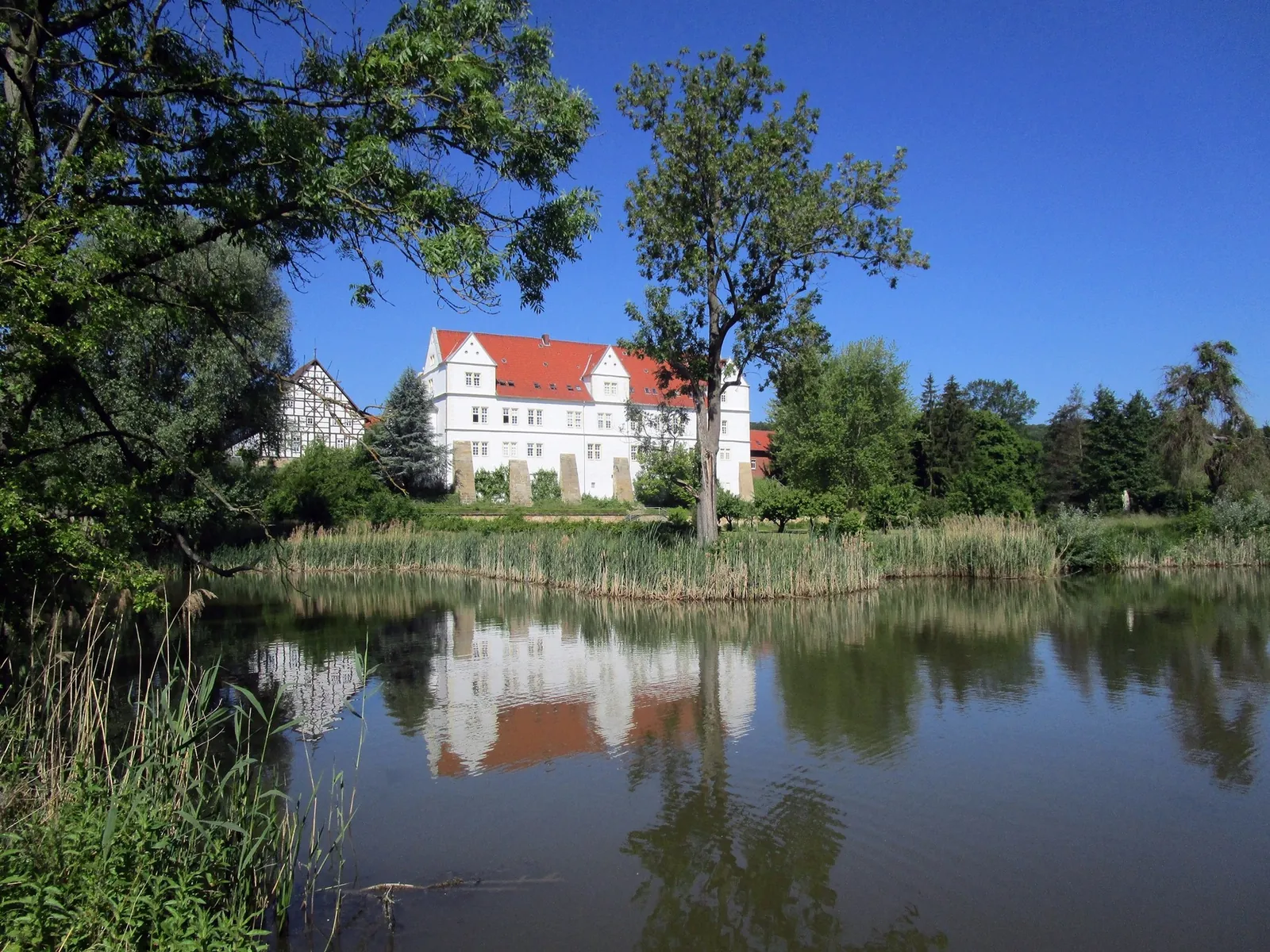 Das Schloss Henneckenrode spiegelt sich im Teich