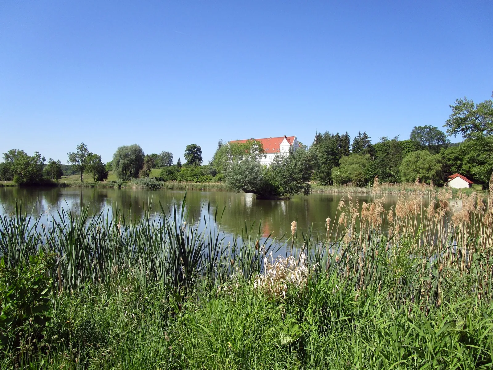 Sommer am Teich, im Hintergrund das Schloss Henneckenrode